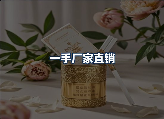 专业团队办公环境